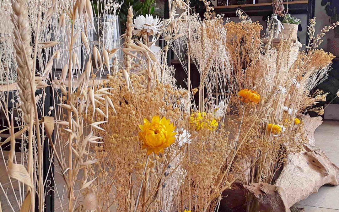 LES FLEURS SÉCHÉES, BELLES DANS LA DURÉE