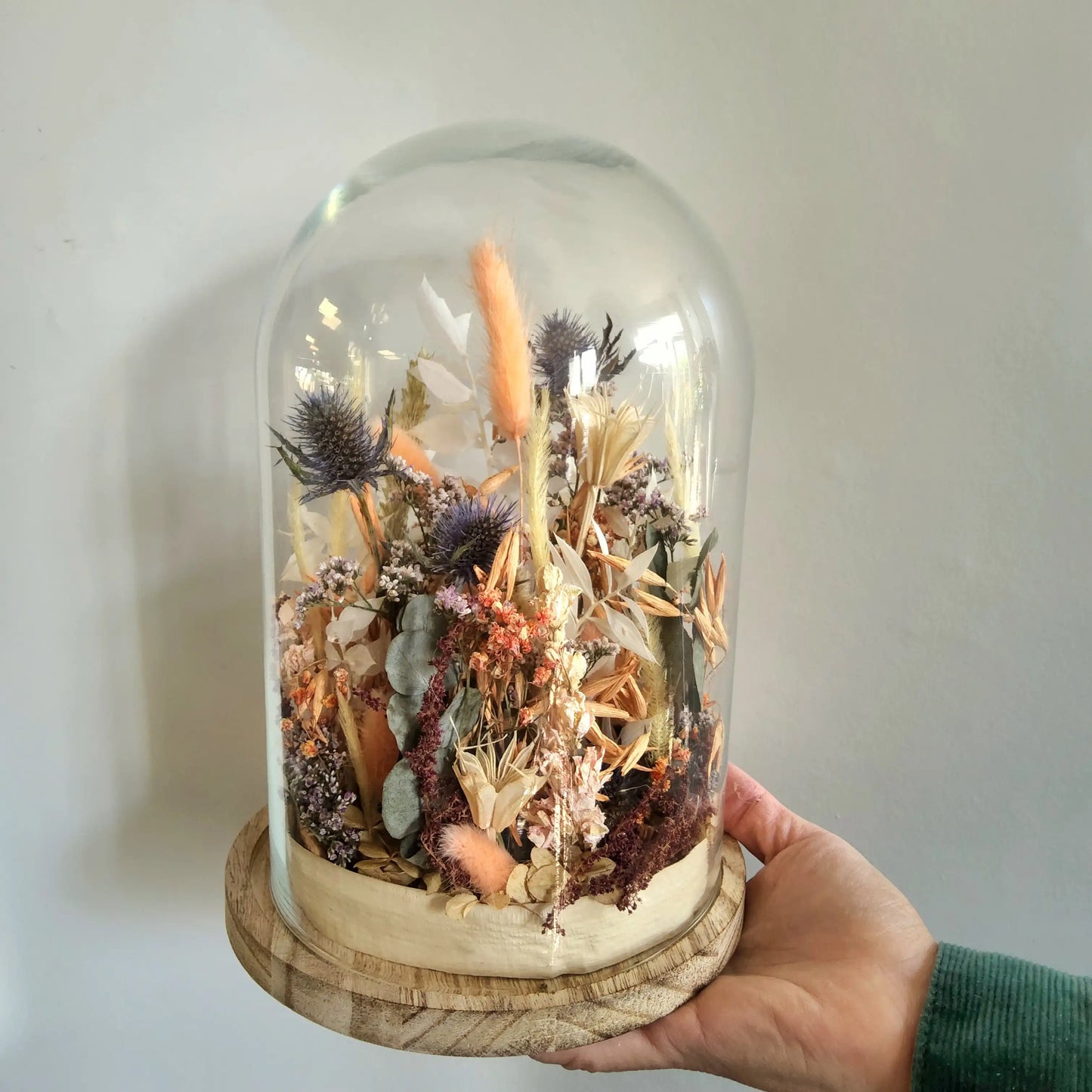 Cloche terra